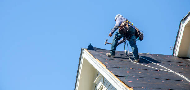Best Storm Damage Roof Repair  in Plantation, FL